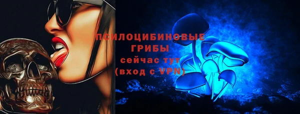 шишки Балабаново