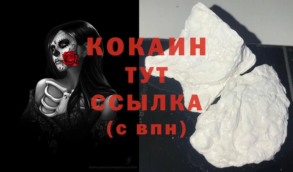 шишки Балабаново