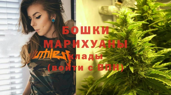 шишки Балабаново