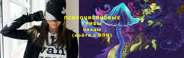 шишки Балабаново