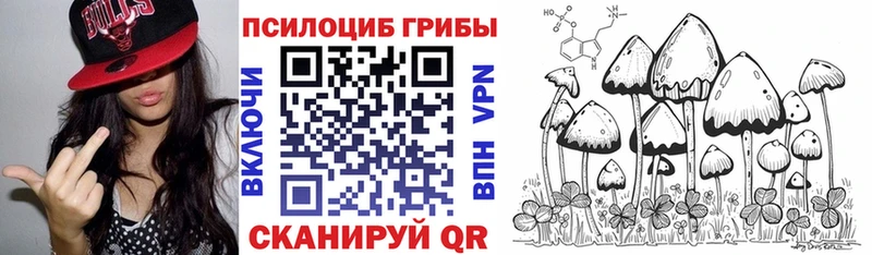 Псилоцибиновые грибы Magic Shrooms  Гуково 