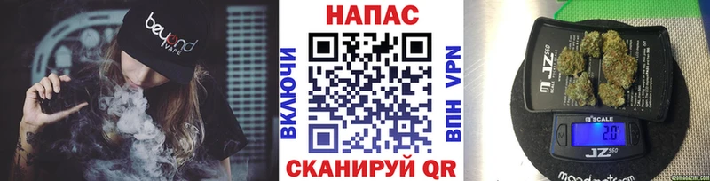 Конопля конопля Гуково
